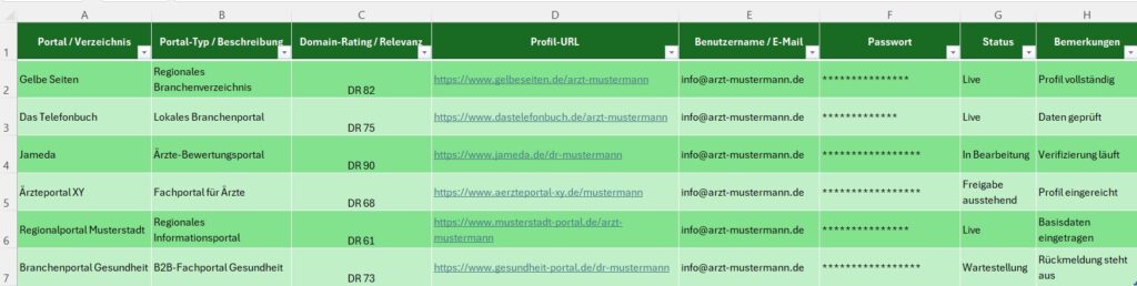 Excel-Übersicht mit OffPage-SEO-Verzeichniseinträgen, Domain-Rating, Profil-URLs und Status