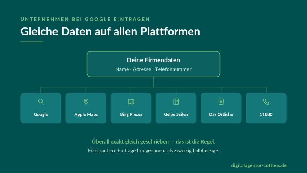 plattformen nap daten uebersicht
