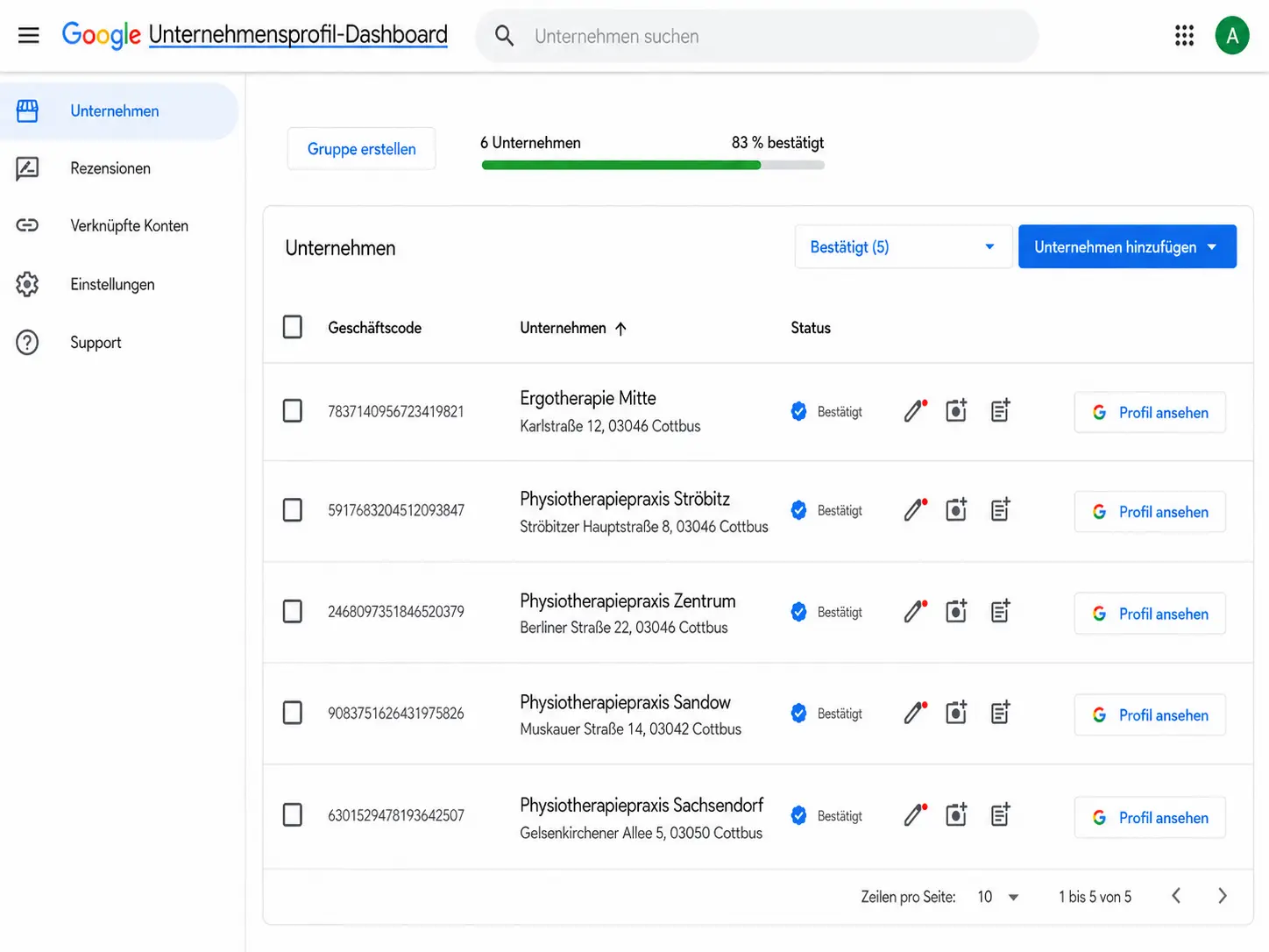 Anonymisierte Ansicht eines Google-Unternehmensprofil-Dashboards mit mehreren bestätigten Praxisstandorten in Cottbus.